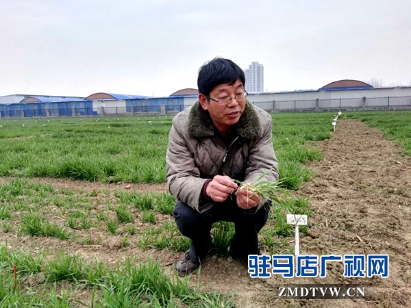 微信图片_20180227151238.jpg