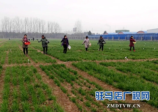 微信图片_20180227151230.jpg