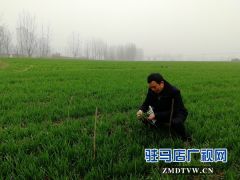 正阳：气象专家“把脉” 指导农民“春管”