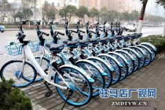 “哈罗”共享单车亮相驿城