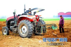 古塔街道创新方式“抢先”植树