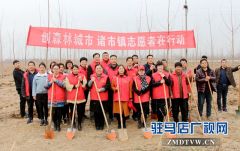 驿城区诸市镇开展义务植树活动