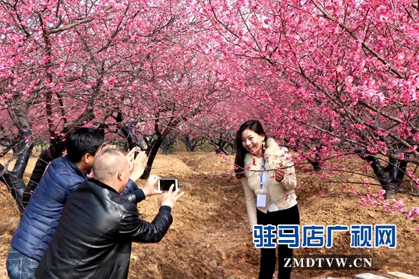 微信图片_20180312090237.jpg