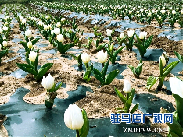 微信图片_20180312090438.jpg