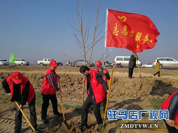 植树造林1.jpg