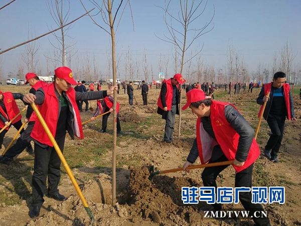 确山县卫计委在莲花社区开展植树造林活动.jpg