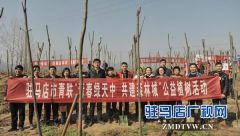 团驻马店市委开展“同植青年林 共建森林城”主题植树活动