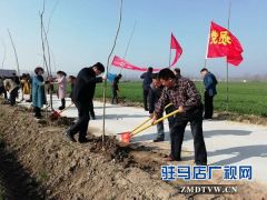 汝南三桥镇开展机关干部义务植树活动