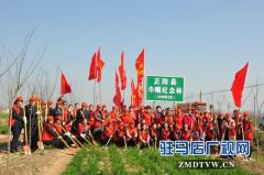 正阳县妇联带领巾帼志愿者积极参与义务植树
