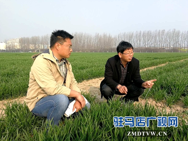 微信图片_20180314150912.jpg
