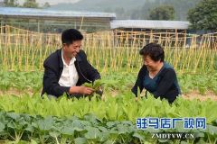 上蔡农家女巾帼不让须眉 创业故事成为传奇