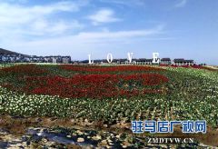 嵖岈山温泉小镇郁金香园正式开门迎客 活动持续到4月28日