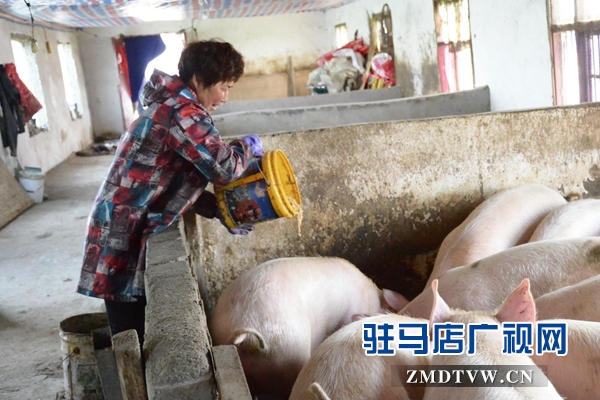 02刘勤图片.JPG