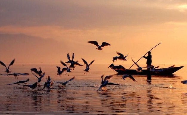 关于驻马店市宿鸭湖水库清淤扩容工程选址意见书的公示