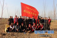 驻马店市委群工部志愿者到诸市镇义务植树