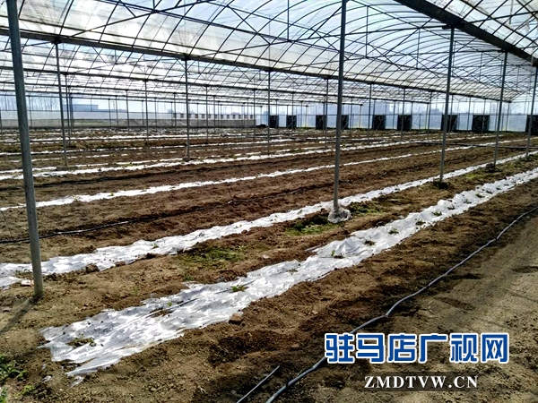 微信图片_20180328093428.jpg