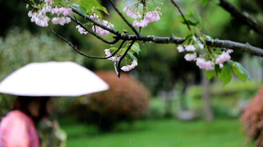 清明踏青好时节