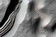 NASA公布火星怪诞照 陨石坑似菌状曾有冰川流动 