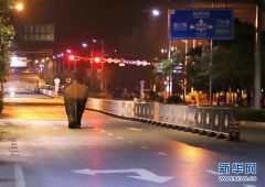 云南普洱闹市区上演“象出没”