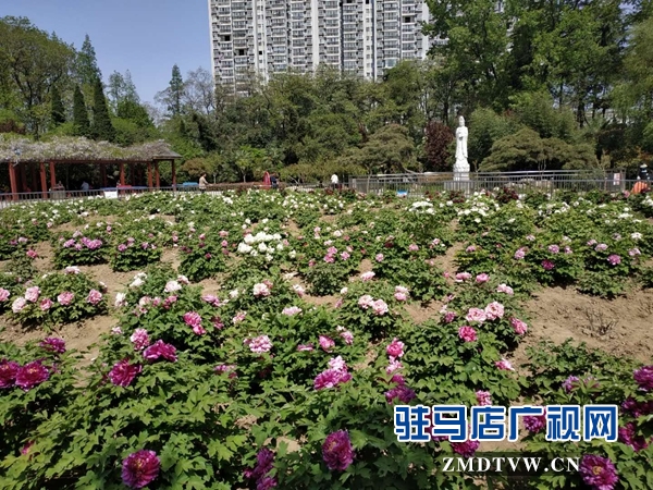 微信图片_20180410151213.jpg