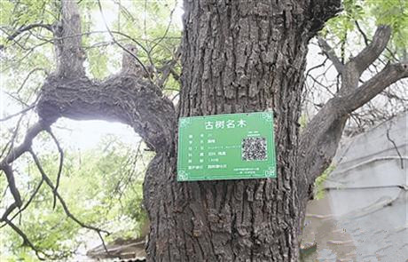 张宪中深入泌阳县调研古树名木保护地方立法工作