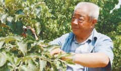 老农荒山种树12年“还生态账” 曾开水泥厂污染环境