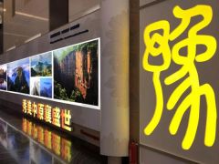 外交部向全球推介河南 8分钟高清形象片惊艳全球