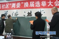 经济开发区金河办事处东高社区召开党支部换届选举大会