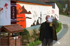 梦里水乡 美丽常庄
