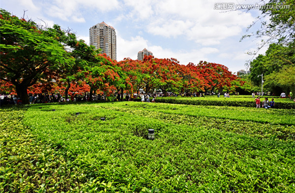 《驻马店市城市绿化条例（草案修改稿）》立法专家论证会召开