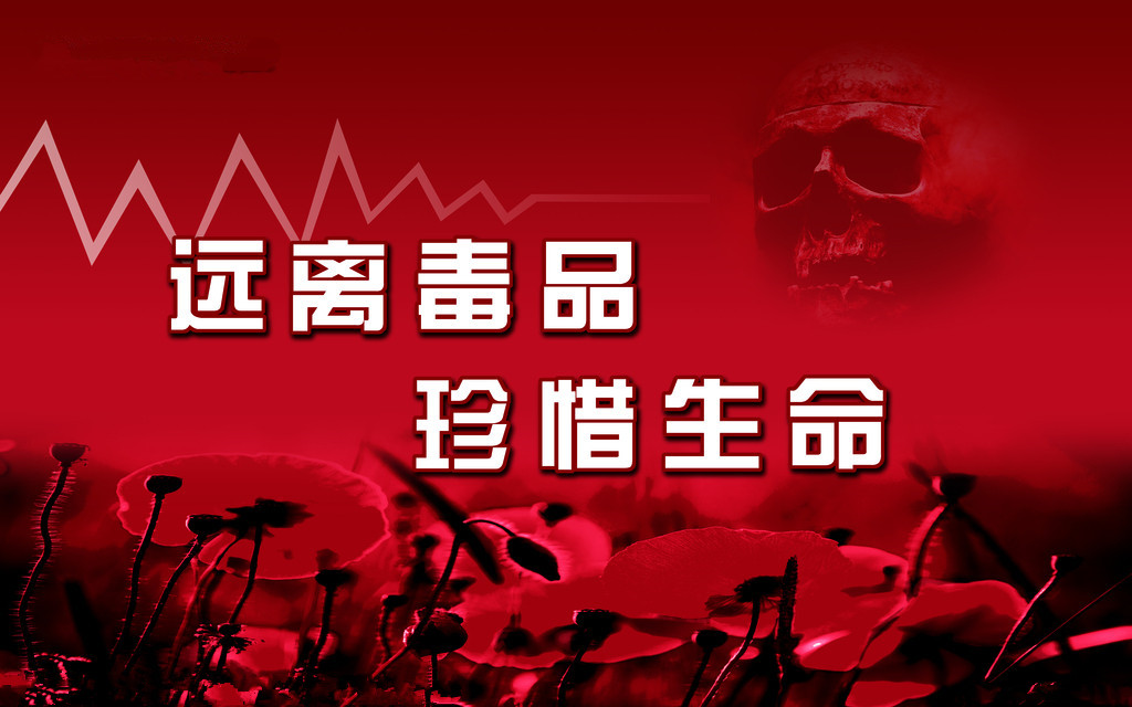 驻马店市铲毒行动暨禁毒重点工作推进会召开
