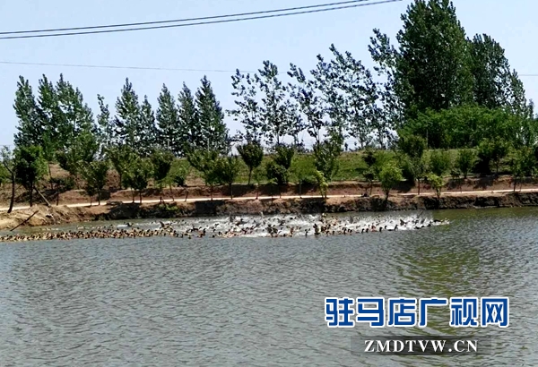 微信图片_20180420083450.jpg