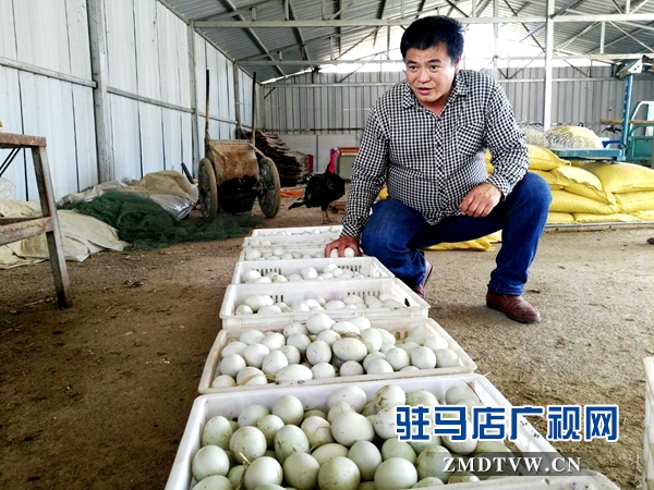 微信图片_20180420083455.jpg