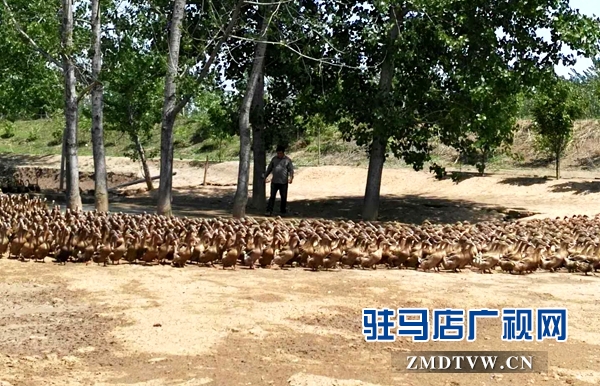 微信图片_20180420083459.jpg