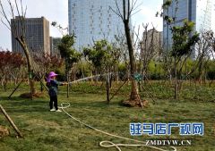 刘阁办事处：以“十城联创”工作推动城市管理水平再提升