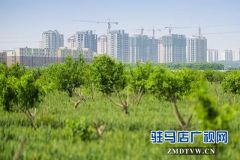 上蔡县擂响项目攻坚推进年战鼓