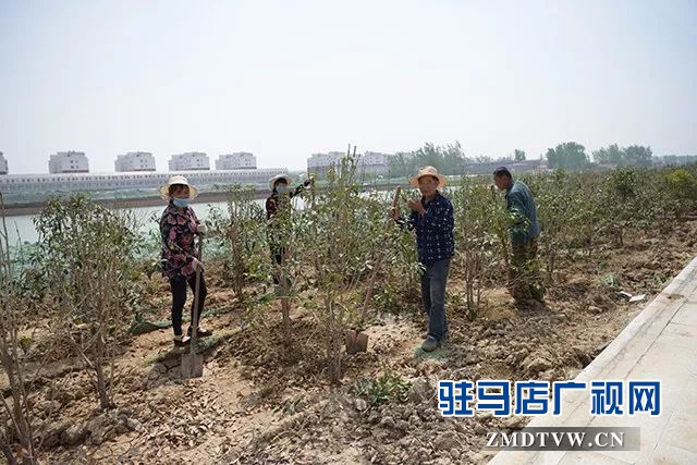 07上蔡县擂响项目攻坚推进年战鼓 .jpg