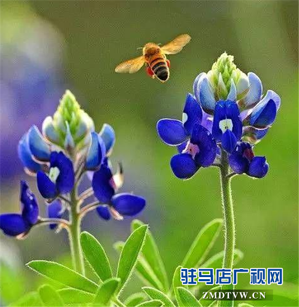 微信图片_20180427194630
