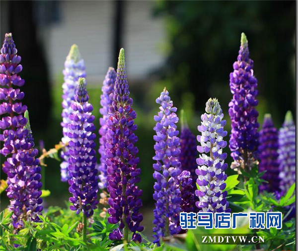 微信图片_20180427194643