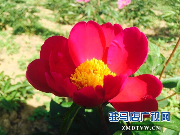 微信图片_20180428111606.jpg