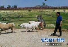 泌阳农民王士杰：角子山下打造“动物王国”