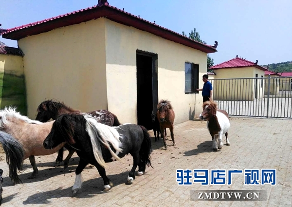 微信图片_20180502091415.jpg