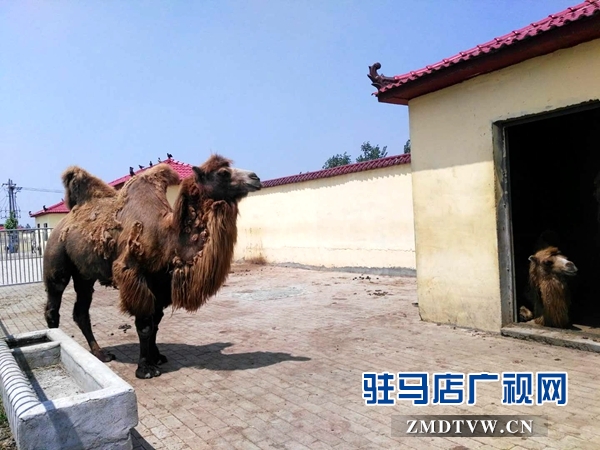 微信图片_20180502091433.jpg