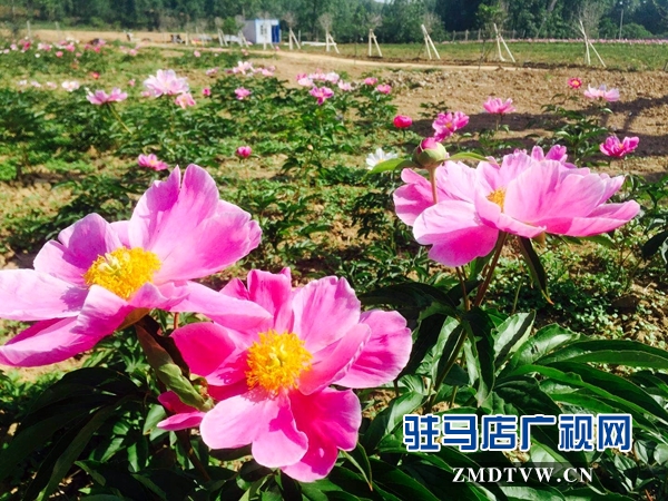 微信图片_20180428111610.jpg