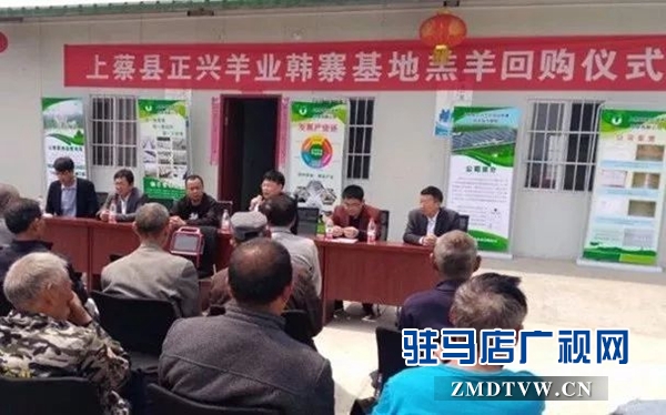 01代养回购好！这种养殖产业扶贫模式群众很欢迎 .jpg