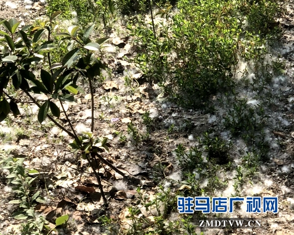 微信图片_20180509105322.jpg