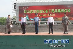 驿城区千余基干民兵参加拉动点验