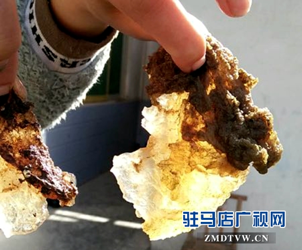 微信图片_20180523084317.jpg