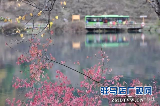 秋，落红------