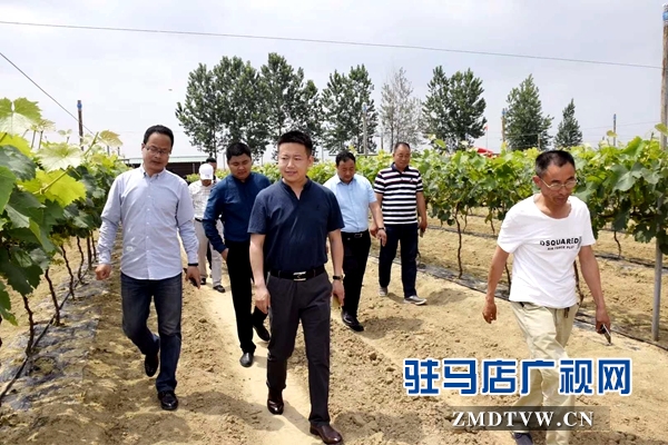 【新时代 幸福是奋斗出来的】党进：为教育和企业发展努力奋斗